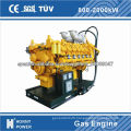 Energy Saving,Generator with Natural Gas/Biogas Clear Energy